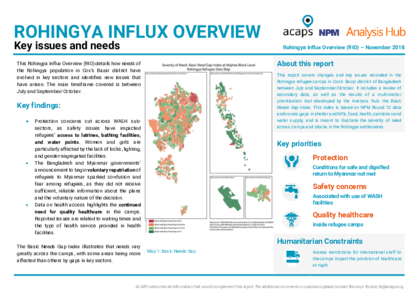 Rohingya Influx Overview (RIO): Key issues and needs