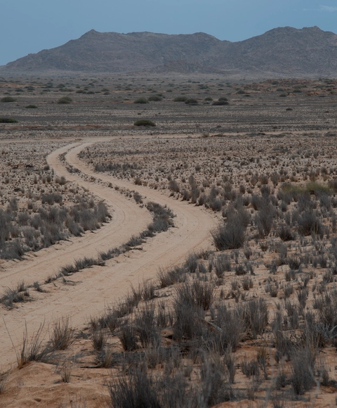 El Niño & La Niña Global Analysis El Niño & La Niña Global Analysis