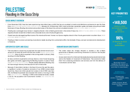 Palestine: flooding in the Gaza Strip