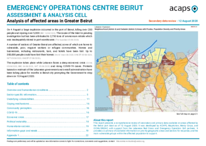 Lebanon: Explosion in Beirut, Secondary Data Review