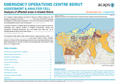 Lebanon: Explosion in Beirut, Secondary Data Review