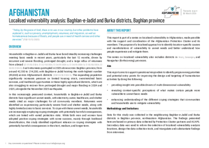 Afghanistan: Localised vulnerability analysis - Baghlan-e-Jadid and Burka districts, Baghlan province