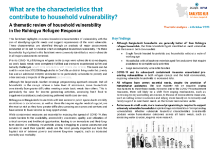 Bangladesh: Characteristics of vulnerable households in the Rohingya refugee response