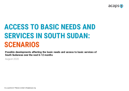South Sudan: Access to basic needs and services