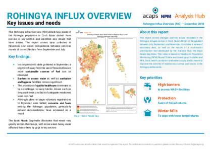 Rohingya Influx Overview (RIO): key issues and needs