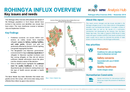 Rohingya Influx Overview (RIO): Key issues and needs