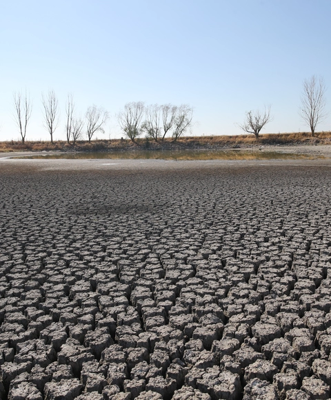 El Niño & La Niña Global Analysis El Niño & La Niña Global Analysis